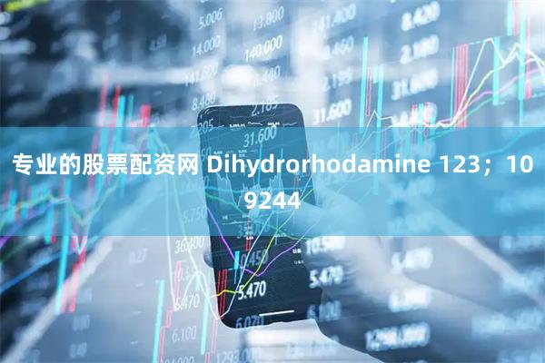 专业的股票配资网 Dihydrorhodamine 123；109244