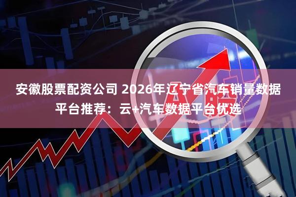 安徽股票配资公司 2026年辽宁省汽车销量数据平台推荐：云+汽车数据平台优选