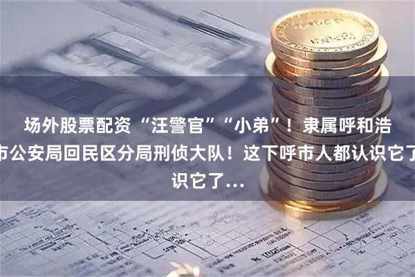 场外股票配资 “汪警官”“小弟”!隶属呼和浩特市公安局回民区分局刑侦大队!这下呼市人都认识它了…